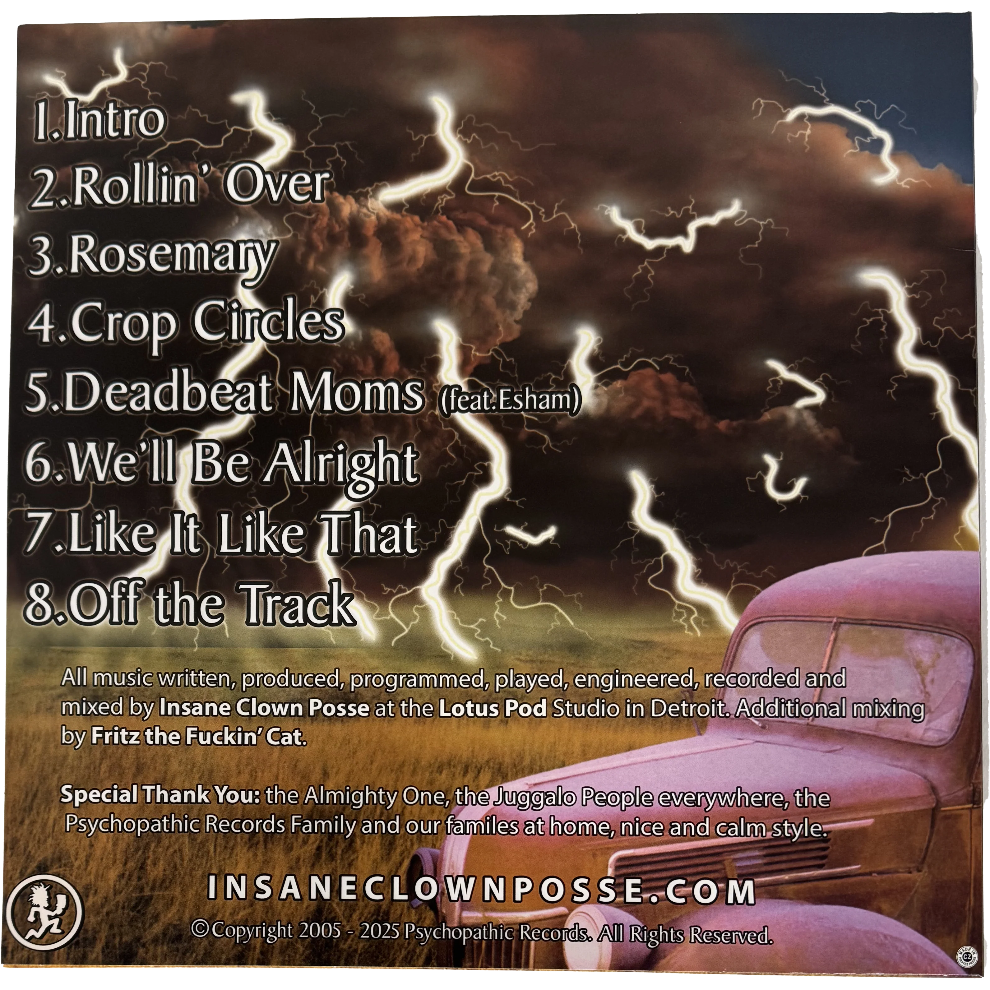 The Calm Picture Vinyl - Image 2