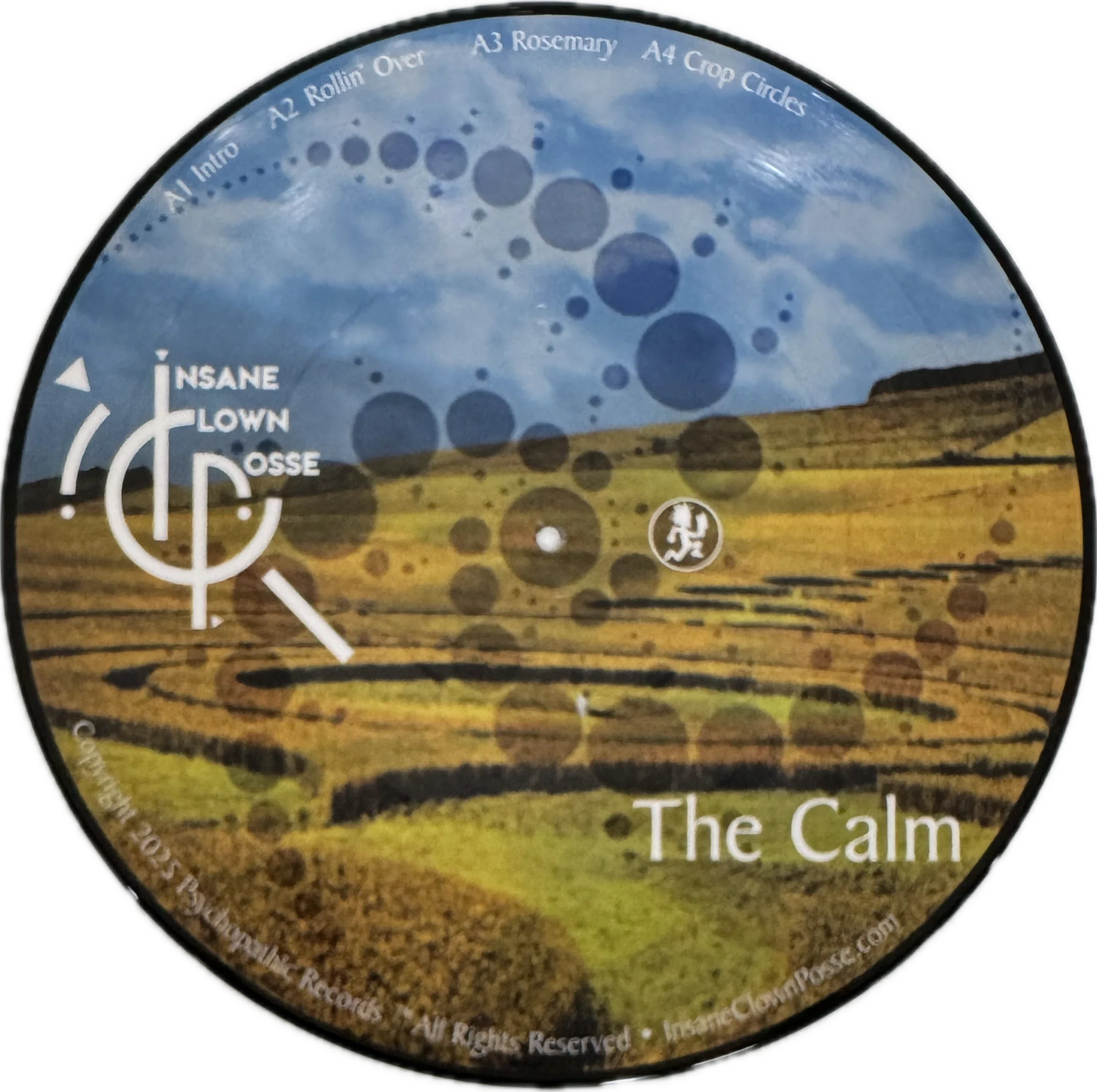 The Calm Picture Vinyl - Image 3