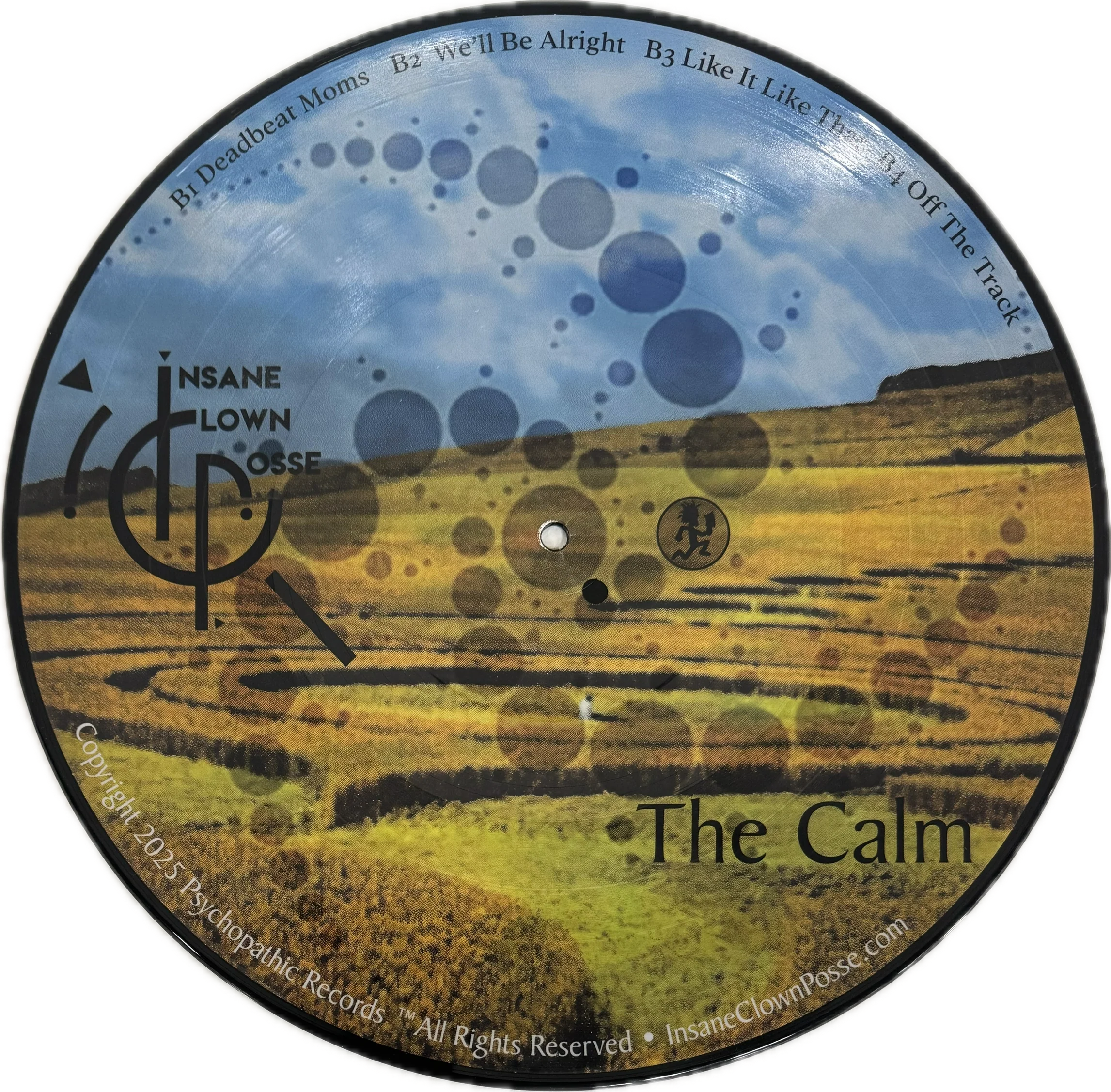 The Calm Picture Vinyl - Image 4