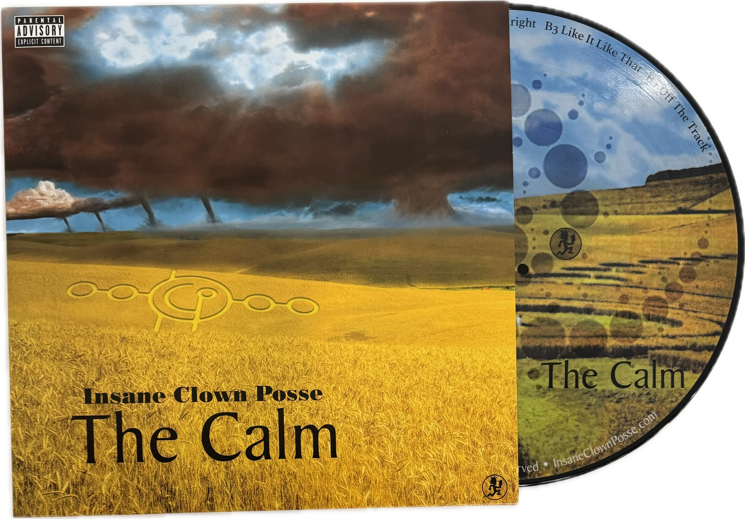 The Calm Picture Vinyl - Image 5